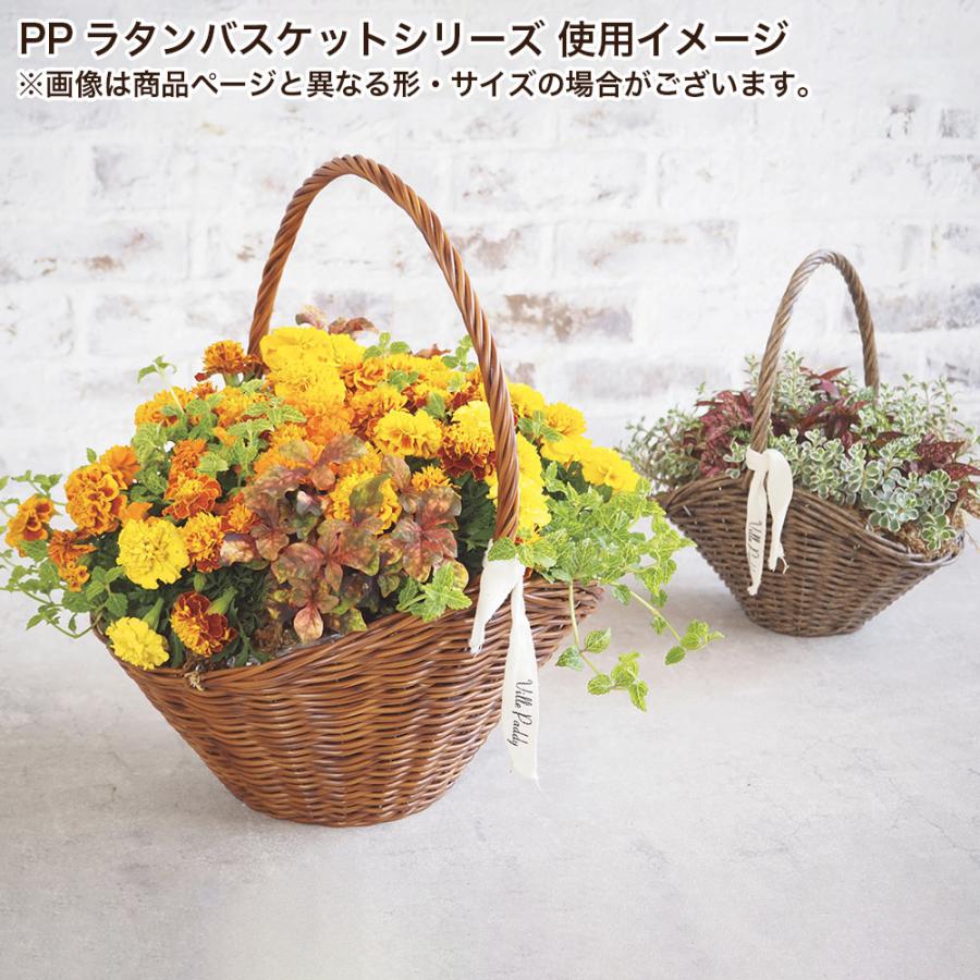 植木鉢 花かご 持ち手付き おしゃれ PPラタンバスケット オーバルL