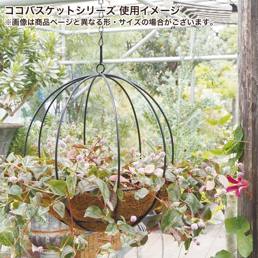 植木鉢 プランター 吊り下げ おしゃれ ハングココドームバスケット L