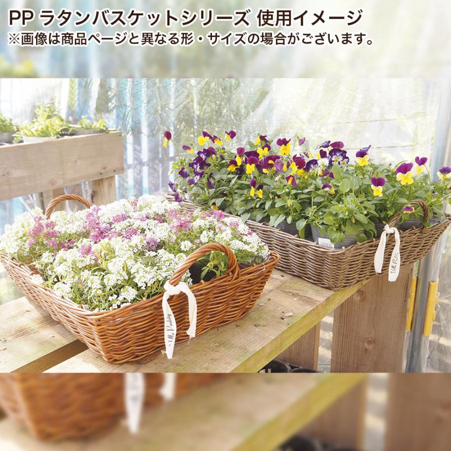 植木鉢 花かご 持ち手付き おしゃれ PPラタンバスケット フラットS