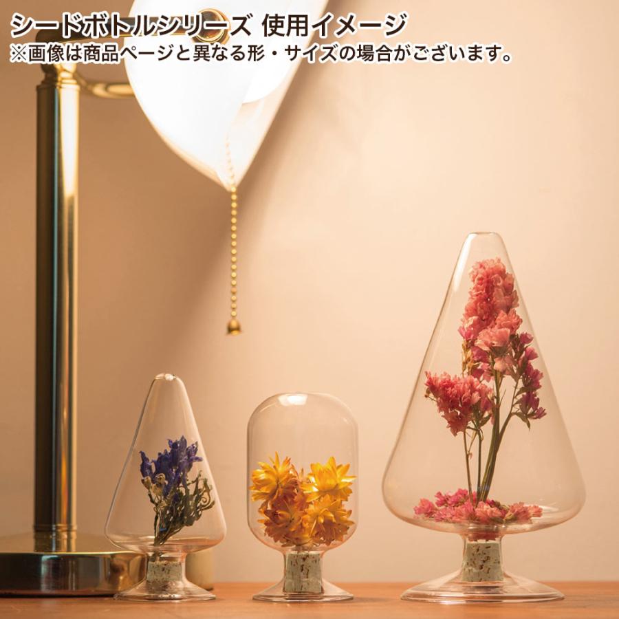 コアガラス　飾り瓶　未使用 POSH LIVING（ポッシュリビング） ガラス瓶 ガラスボトル 種子瓶