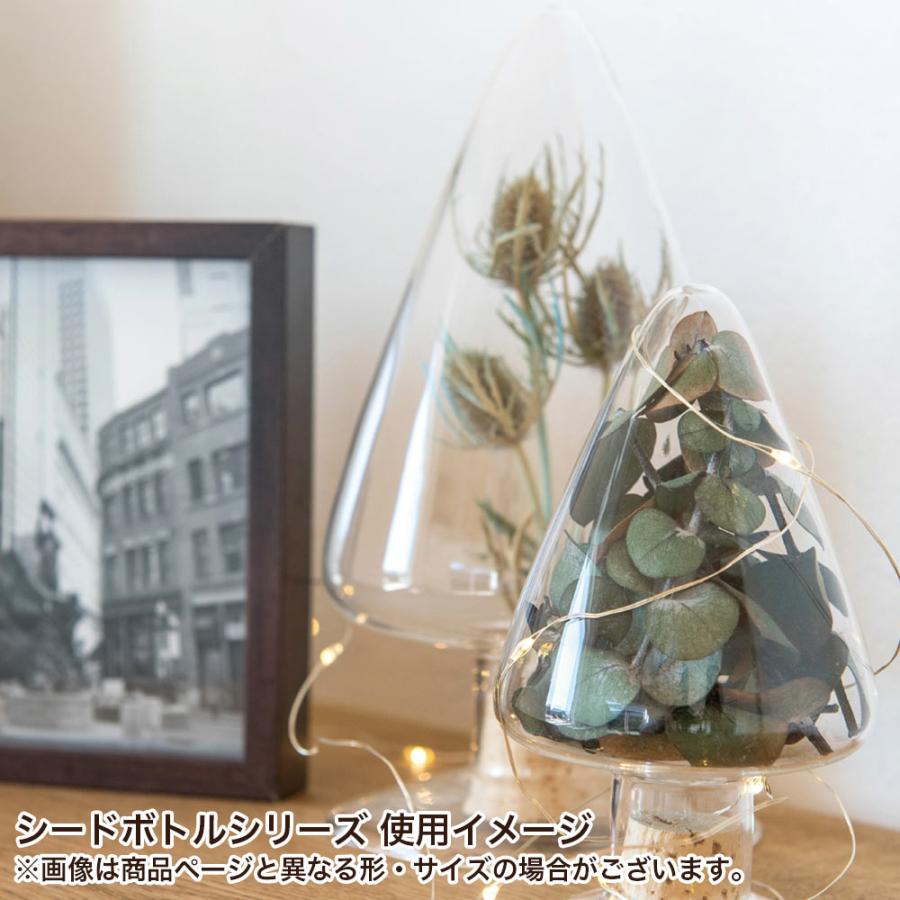 POSH LIVING ガラス瓶 ガラスボトル 種子瓶 おしゃれ シード