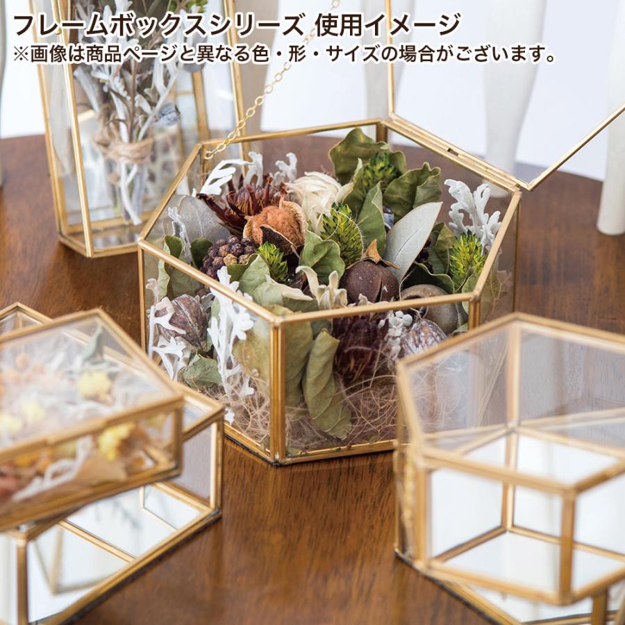 POSH LIVING（ポッシュリビング） 小物入れ ディスプレイケース 