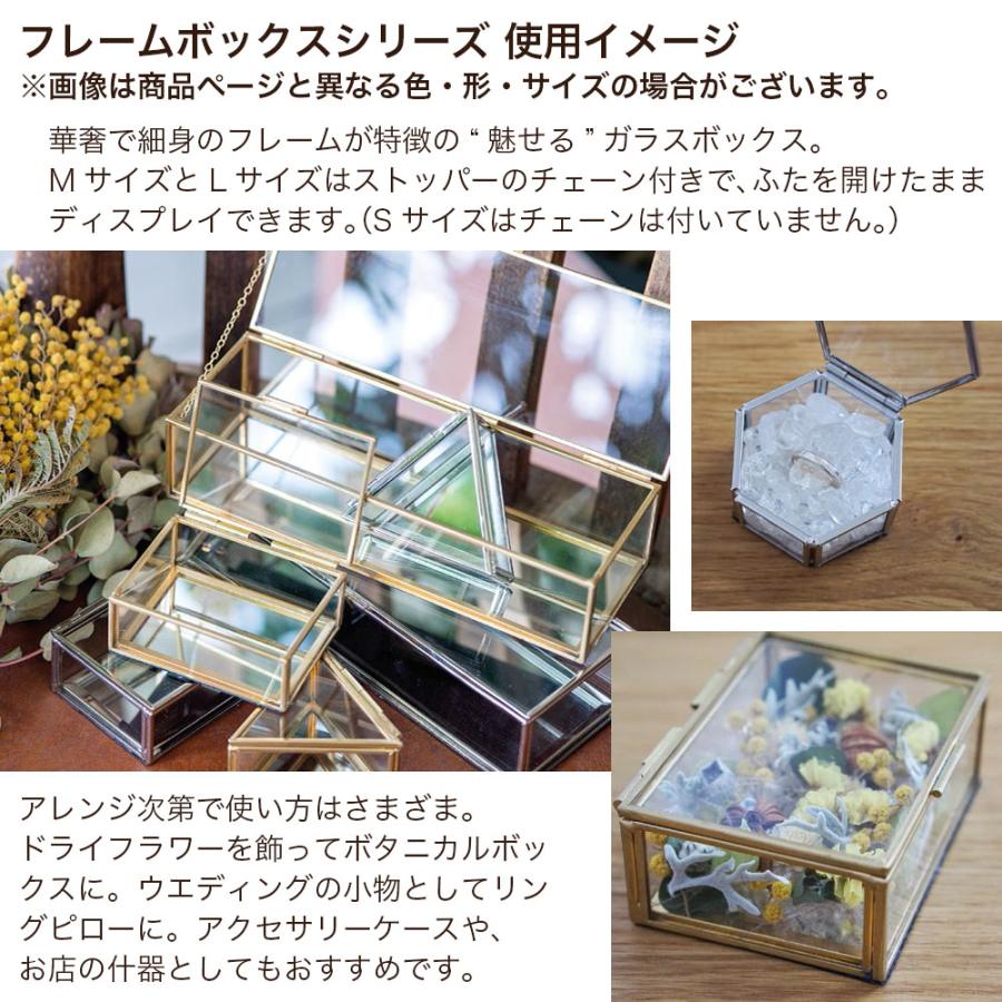 POSH LIVING（ポッシュリビング） 小物入れ ディスプレイケース