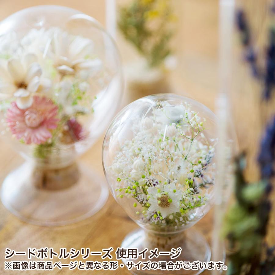 POSH LIVING ガラス瓶 ガラスボトル 種子瓶 おしゃれ シード