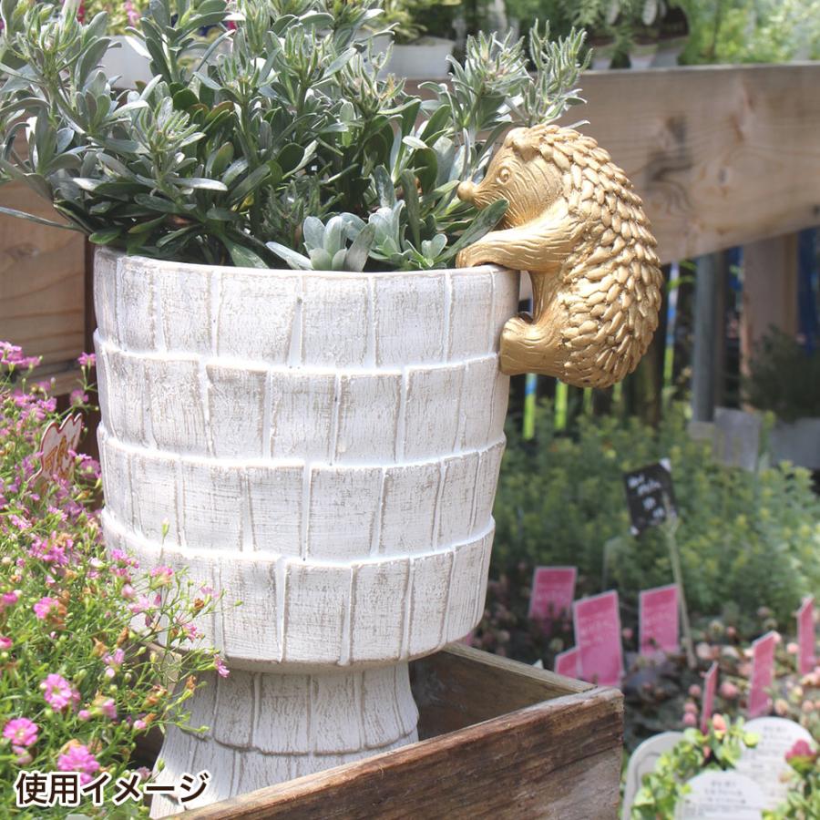 ガーデニング雑貨 ハリネズミ 置物 オーナメント オブジェ ゴールド