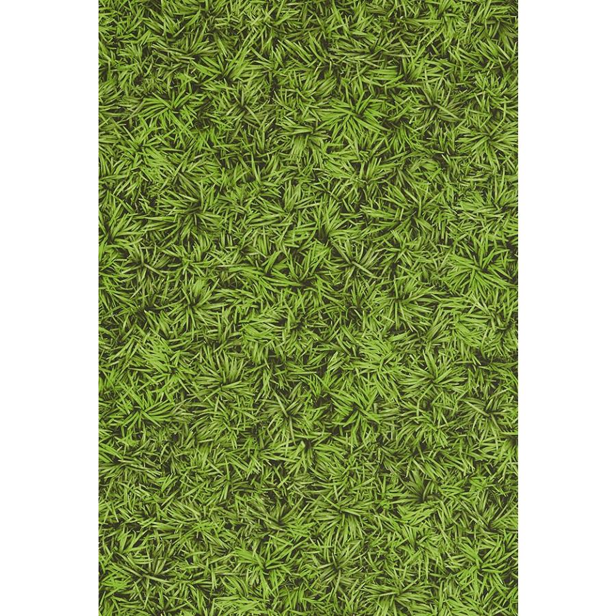 壁紙 のりなし ビニールクロス 植物 東リ マテリアル Wvp20 Pa ポッチワン 通販 Yahoo ショッピング