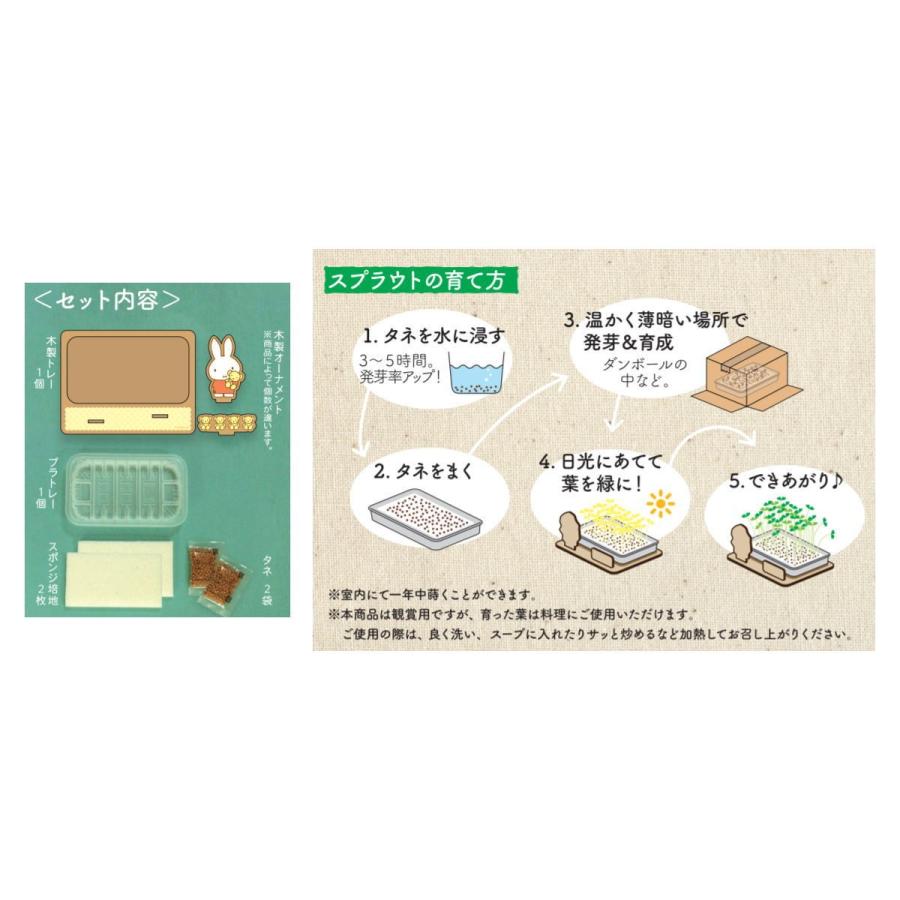 カピバラさん スプラウト栽培キット かいわれ大根 Kb1250 キャラクター グッズ メール便ok キャラクター雑貨 Poccl 通販 Yahoo ショッピング