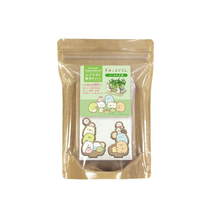 すみっコぐらし スプラウト栽培キット かいわれ大根 Sg1250a キャラクター グッズ メール便ok キャラクター雑貨 Poccl 通販 Yahoo ショッピング