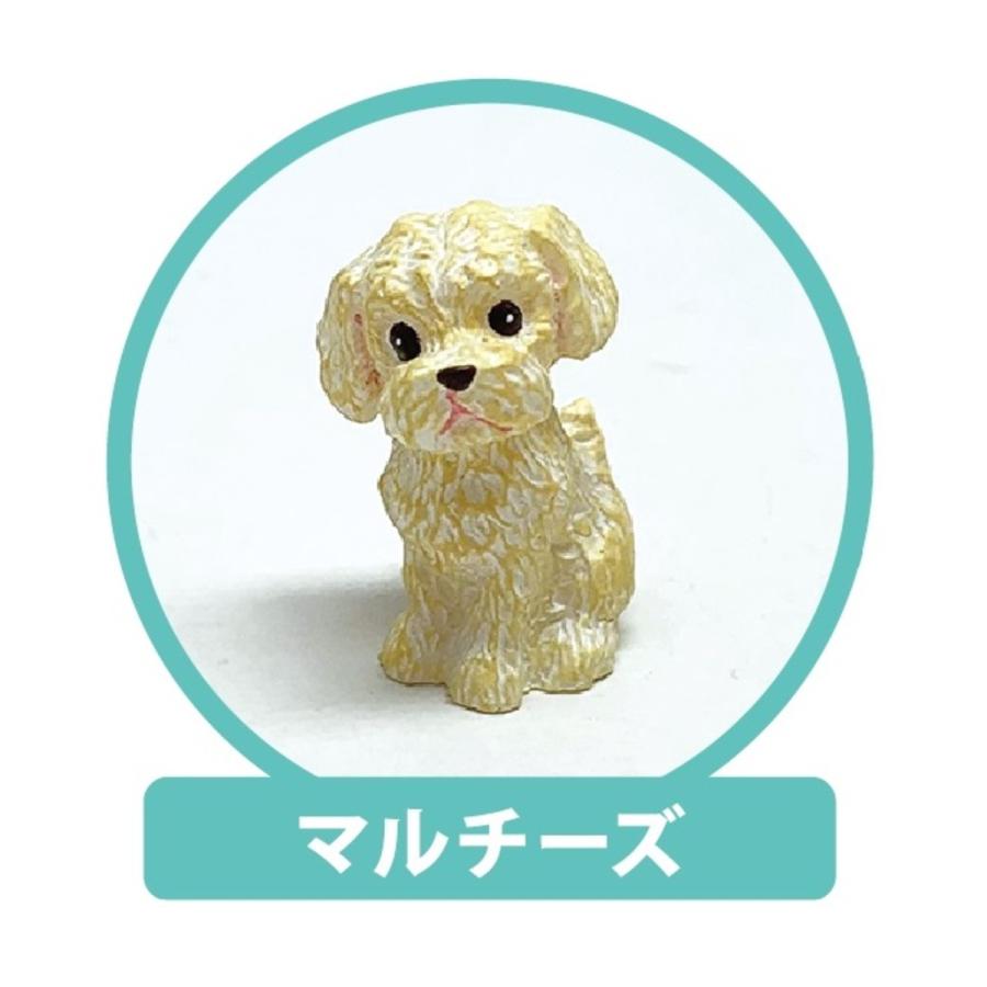 犬・ワンちゃんのボールペン（マルチーズ） REAL DOG RD-BP011 キャラクター グッズ メール便OK トーシンパック