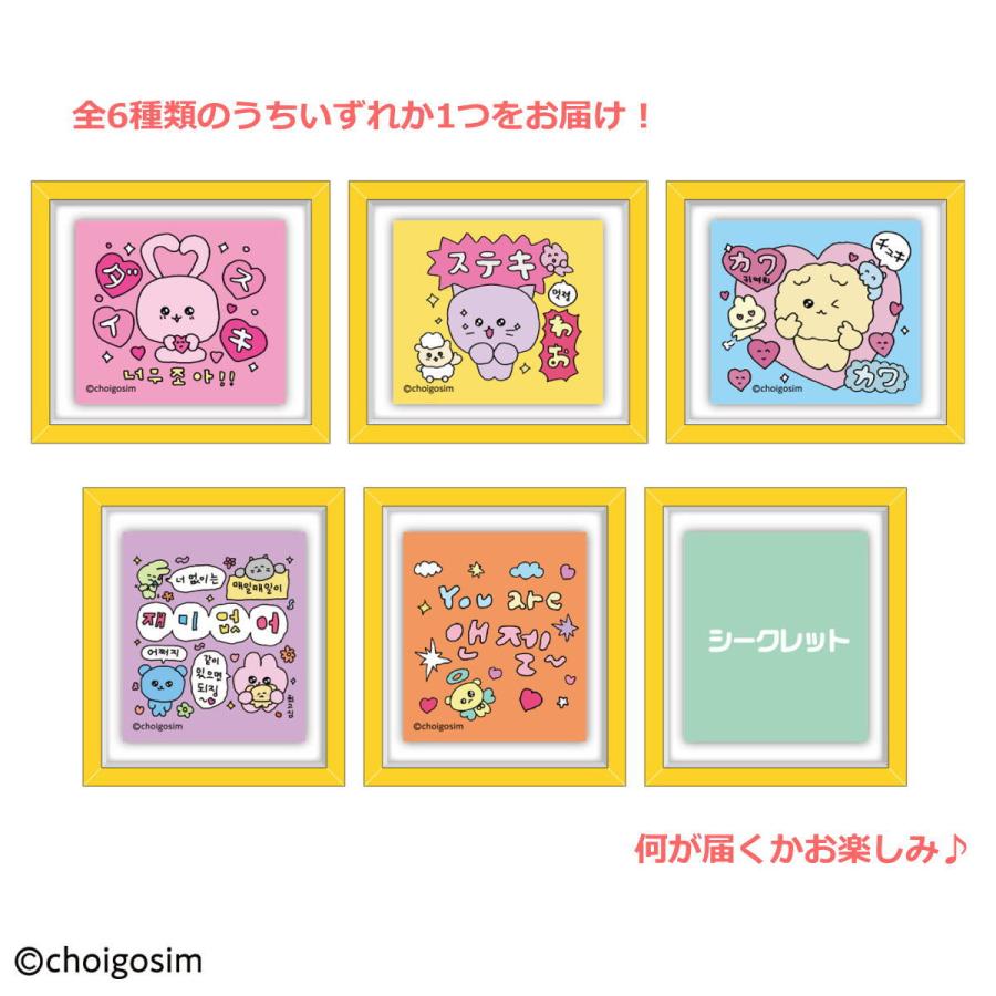 チェゴシム フレームマグネットコレクション（チェゴシムvol.1
