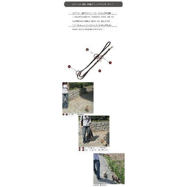 送料無料 犬用リード 犬用2頭引きリード 本格ブルレザー使用革犬具 VIP GA18/200 75142958 8010690045757 革 レザー 本革 犬の画像