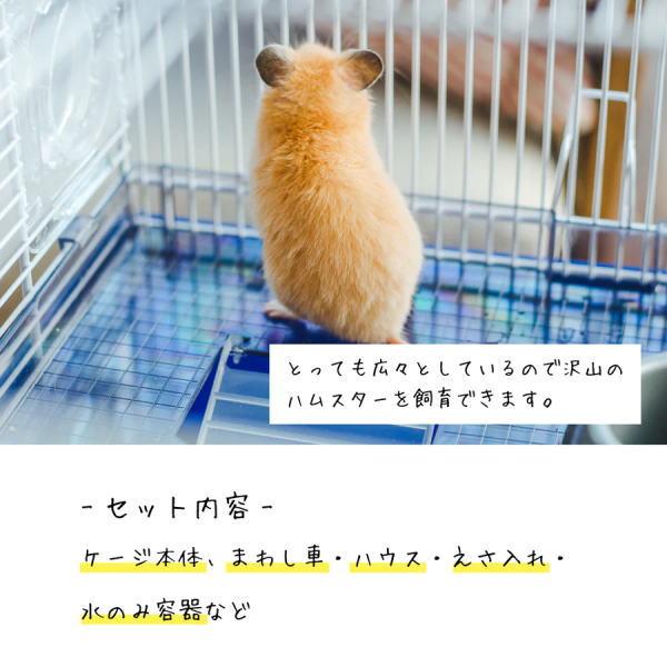 サイズは横60縦36奥行き29cm 大きいケージ ハムスターお迎えセット