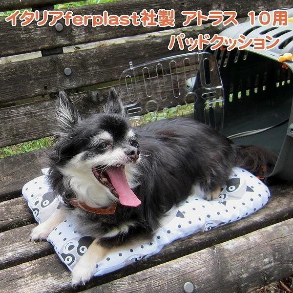 送料無料 コンテナ、ケース（犬用キャリー） ペットキャリーケース