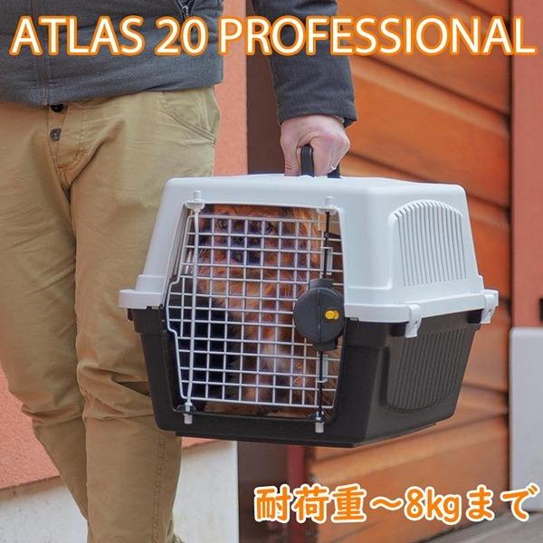 送料無料 コンテナ、ケース(犬用キャリー) ペットキャリー 送料無料 コンテナ、ケース(犬用キャリー) ペットキャリー
