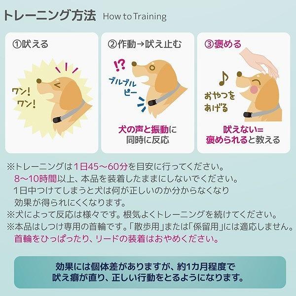 送料無料 犬用無駄吠え防止首輪 「ノーバーク トレーニング カラー S