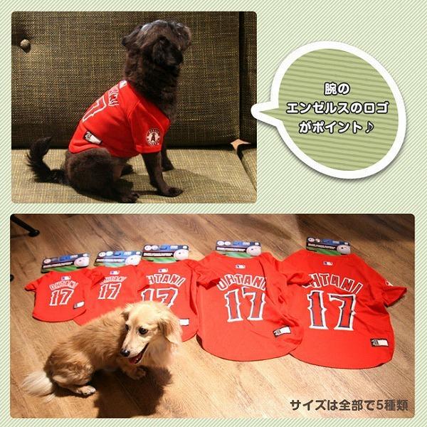 送料無料 大谷翔平 選手モデル ジャージ Sサイズ LOS ANGELES
