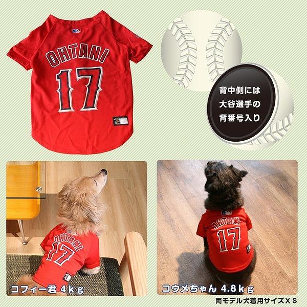 送料無料 大谷翔平 選手モデル ジャージ Mサイズ LOS ANGELES ANGELS 0849790083189 ロサンゼルス　エンゼルス ユニフォーム 野球 中型犬｜poccl｜05