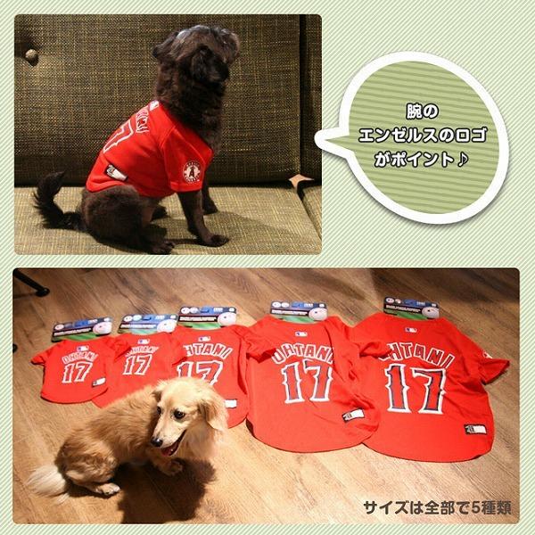 送料無料 大谷翔平 選手モデル ジャージ Mサイズ LOS ANGELES 送料無料 大谷翔平 選手モデル ジャージ Mサイズ LOS ANGELES
