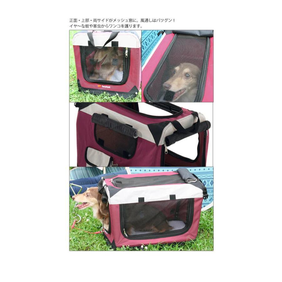 送料無料 ボックスタイプ(犬用キャリー) キャリーハウス 送料無料 ボックスタイプ(犬用キャリー) キャリーハウス