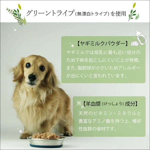 送料無料 「ニュートライプ PURE ピュア サーモン＆グリーントライプ 185g 24個」 NUT3775 8885003133465-24ドッグフード 缶詰_13