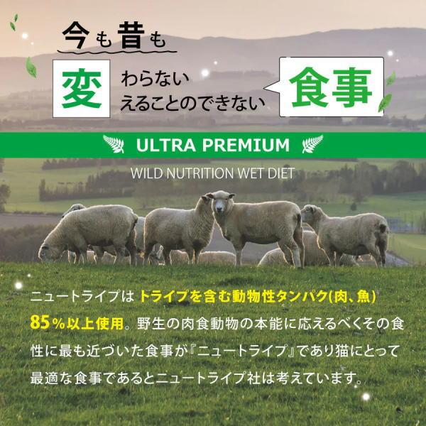 送料無料 「ニュートライプ PURE ピュア サーモン＆グリーントライプ 185g 24個」 NUT3775 8885003133465-24ドッグフード 缶詰_3