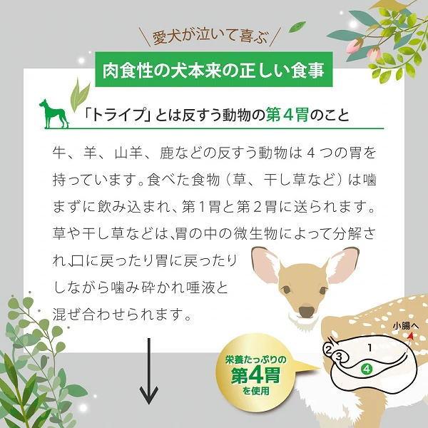 送料無料 「ニュートライプ PURE ピュア サーモン＆グリーントライプ 185g 24個」 NUT3775 8885003133465-24ドッグフード 缶詰_6