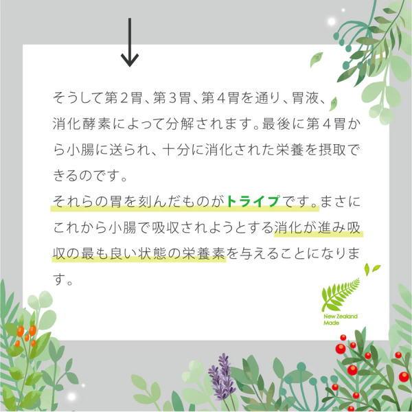 送料無料 「ニュートライプ PURE ピュア サーモン＆グリーントライプ 185g 24個」 NUT3775 8885003133465-24ドッグフード 缶詰_7