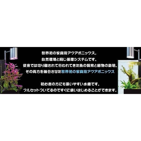 9周年記念イベントが 魚と植物がセットで楽しめる 家庭用アクアポニックス brio35 ブリオ 60Hz地域用 西日本 家庭用 アクアポニックス ブリオ 本体 brio 水槽 セット ホワイト brio35 お洒落 モダン