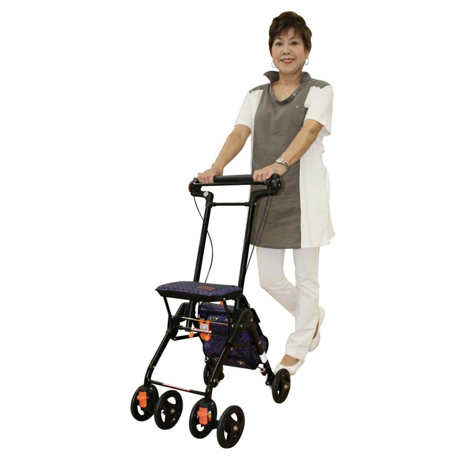 株)幸和製作所 テイコブナノン CPS−03プラムパープル プラム