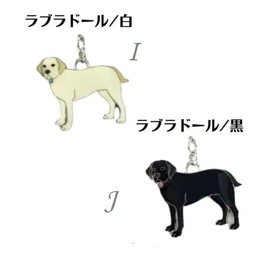 チャーム 愛犬 犬チャーム 犬種24種 : Pochi Pochi - 通販 - Yahoo