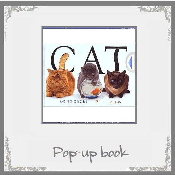 絵本 しかけ 仕掛け絵本 Catねこネコこねこね 海外作家 母の日ギフト ネコのしぐさが変化する大人の絵本 お届け方法レターパック52０で１冊 k 4 Pochi Pochi 通販 Yahoo ショッピング