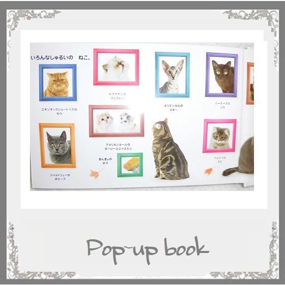 絵本 しかけ 仕掛け絵本 Catねこネコこねこね 海外作家 母の日ギフト ネコのしぐさが変化する大人の絵本 お届け方法レターパック52０で１冊 k 4 Pochi Pochi 通販 Yahoo ショッピング