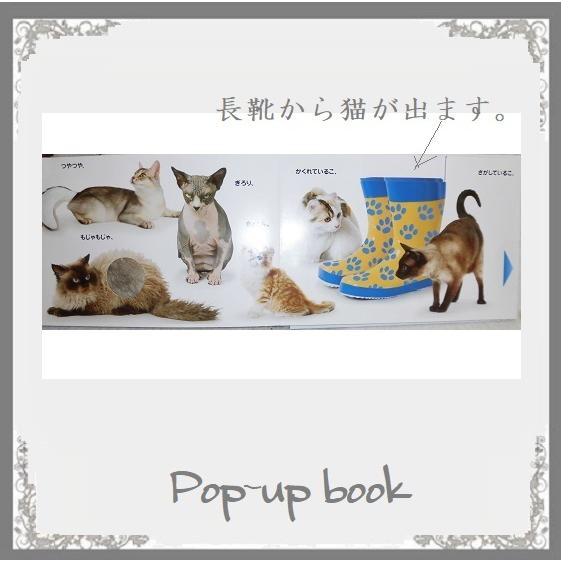 絵本 しかけ 仕掛け絵本 Catねこネコこねこね 海外作家 母の日ギフト ネコのしぐさが変化する大人の絵本 お届け方法レターパック52０で１冊 k 4 Pochi Pochi 通販 Yahoo ショッピング