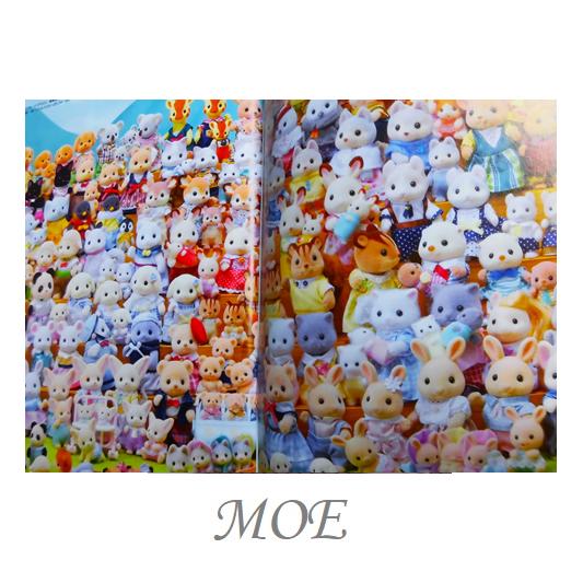 白泉社 MOE2025年7月号 シルバニア村へようこそ 特別ふろく クリア