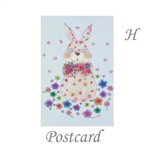 本郷柚巴 DOLCE Vol.11 ポストカード3種付き(新品シュリンク未開封) ブブカ編集部 on X: 