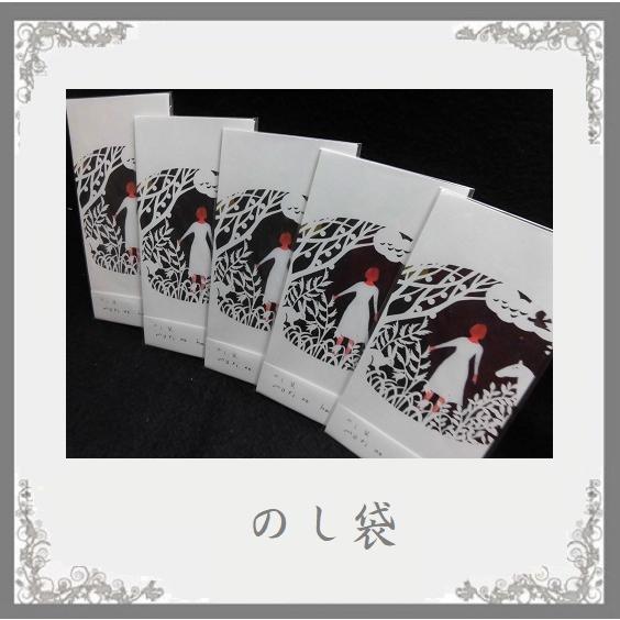 日本製 のし袋２枚入り イラストレーター西淑デザイン Mori No Hanashi 金シルク印刷