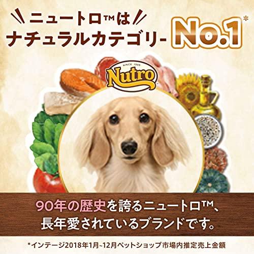 ナチュラルチョイス nutro ニュートロ 超小型犬4kg以下用 成犬用 生後8
