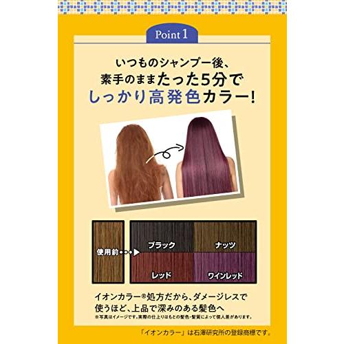 ナチュールバイタル カラーセーフ ヘアマスクN ブラック 深い発色 1WEEK イオンカラー ヘアカラー｜pochi-pochipc｜04