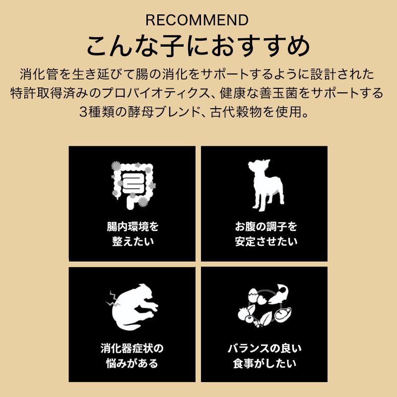 ゴー DOG 消化+腸の健康ケア サーモン 9.98kg ドッグフード ドライフード 総合栄養食｜pochi-tokyo｜09