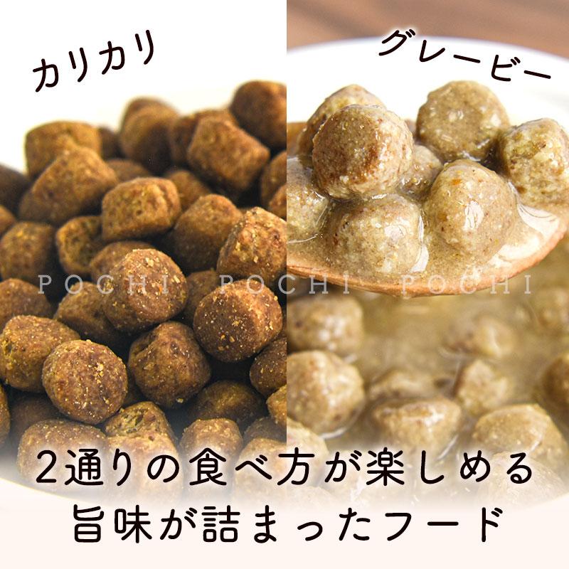 ナウフレッシュ (NOW Fresh) DOG グッドグレービー スモールブリード ゲージフリーチキンレシピ 2.3kg　成犬用 ミールフリー_7