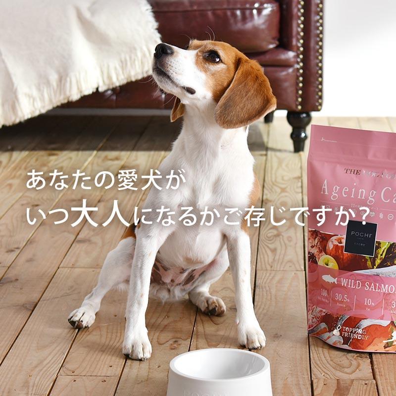 POCHI (ポチ) ザ・ドッグフード エイジングケア 3種のポルトリー 1kg ドライフード 総合栄養食 成犬｜pochi-tokyo｜08