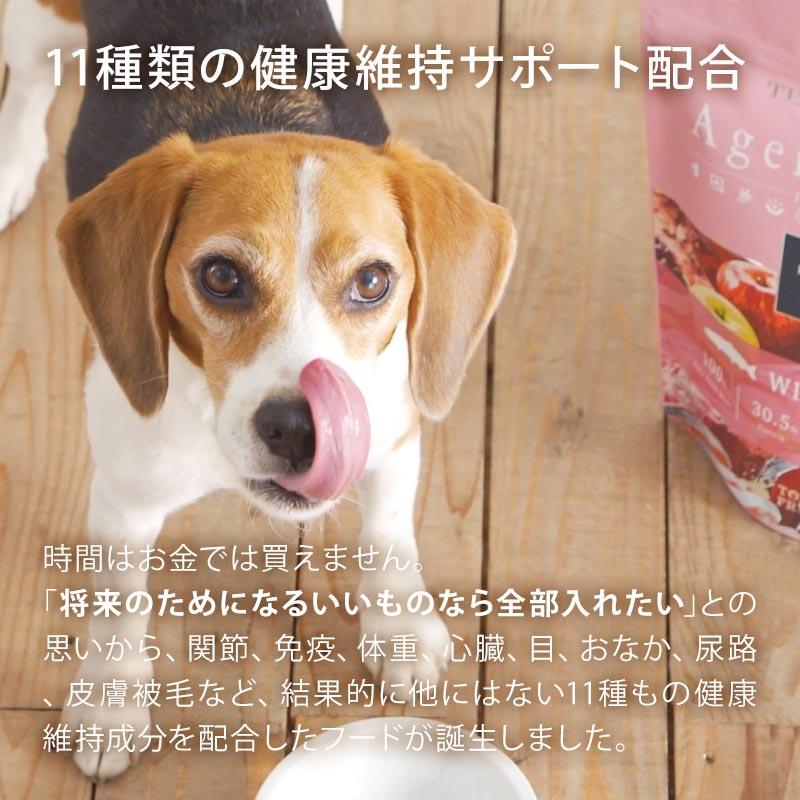 POCHI (ポチ) ザ・ドッグフード エイジングケア ワイルドサーモン 1kg ドライフード 総合栄養食 成犬｜pochi-tokyo｜10