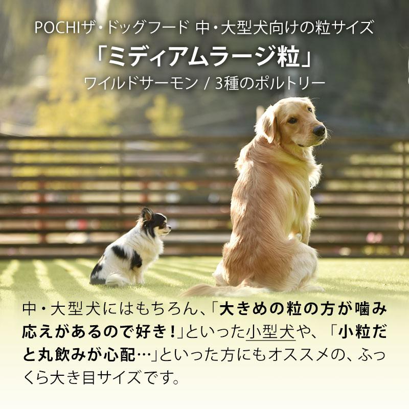 POCHI 3種のポルトリー　ミディアムラージ粒　2袋セット POCHI ミディアムラージブリード 3種のポルトリー | プレミアム