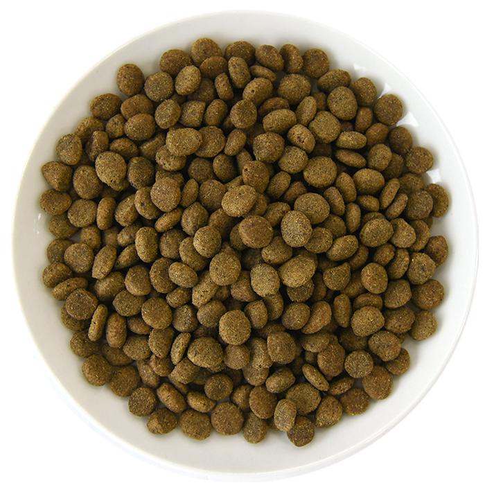 POCHI ザ・ドッグフード エイジングケア シニア ワイルド