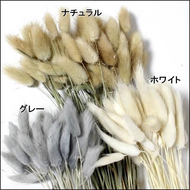 ドライフラワー 18色 ５本 バニーテール ラグラス レジン ハーバリウム 花束 レジン素材 素材 レジン混入素材 手作り ハンドメイド ぽちの家 通販 Yahoo ショッピング