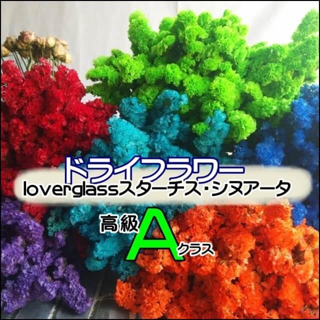 高級品aランク ドライフラワー スターチス 大輪 ビビットカラー 9色 レジン ハーバリウム レジン素材 レジン混入素材 手作り ハンドメイド ぽちの家 通販 Yahoo ショッピング