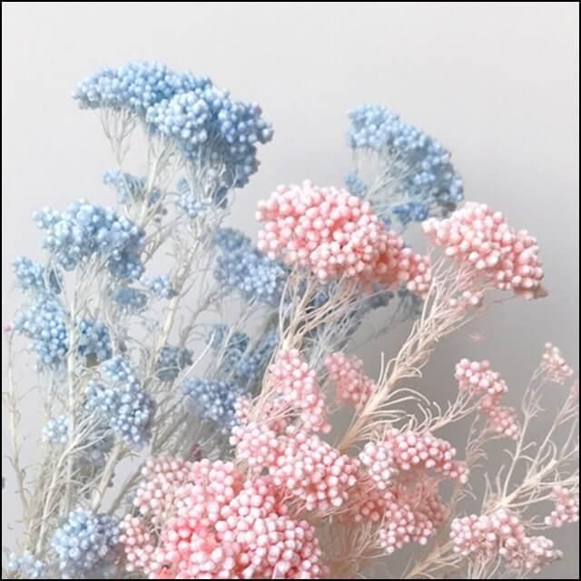 プリザーブドフラワー ライスフラワー パステルカラー 16色 ドライフラワー テラリウム レジン ハーバリウム レジン素材 レジン混入素材 ぽちの家 通販 Yahoo ショッピング