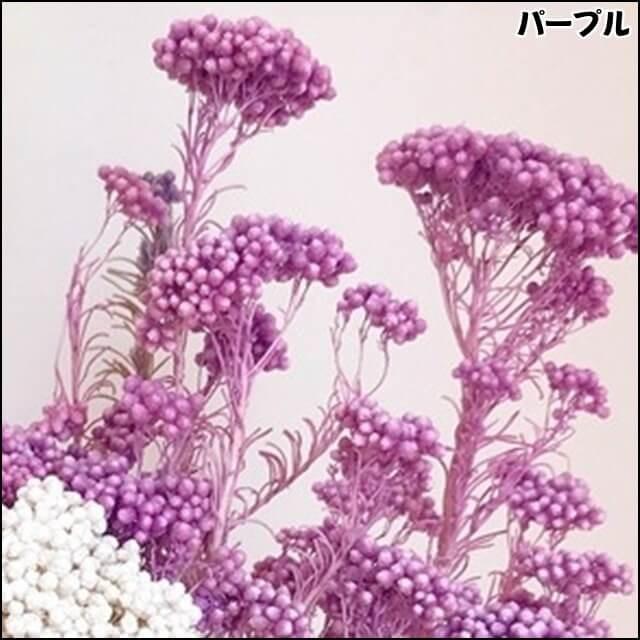 プリザーブドフラワー ライスフラワー パステルカラー 16色 ドライフラワー テラリウム レジン ハーバリウム レジン素材 レジン混入素材 ぽちの家 通販 Yahoo ショッピング