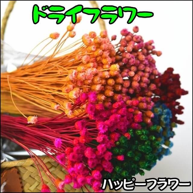 プリザーブドフラワー ハッピーフラワー 10色 ドライフラワー テラリウム レジン ハーバリウム レジン素材 レジン混入素材 ハンドメイド ぽちの家 通販 Yahoo ショッピング