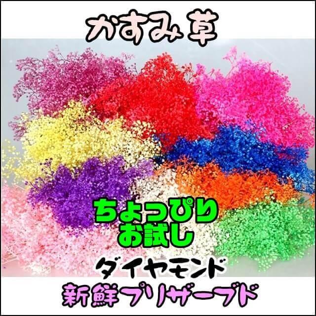プリザ ダイアモンド かすみ草 8色 お試しパック プリザーブドフラワー ドライフラワー テラリウム レジン ハーバリウム 素材 アロマワックス